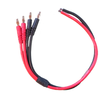 Load image into Gallery viewer, Parallel (2x) Output Cable