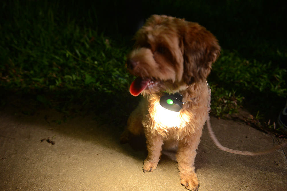 XTAR Moon RC2 Portable LED Lamp