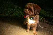 Load image into Gallery viewer, XTAR Moon RC2 Portable LED Lamp