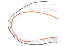 Load image into Gallery viewer, FMA Cellpro 10S-10XP Balance Cable